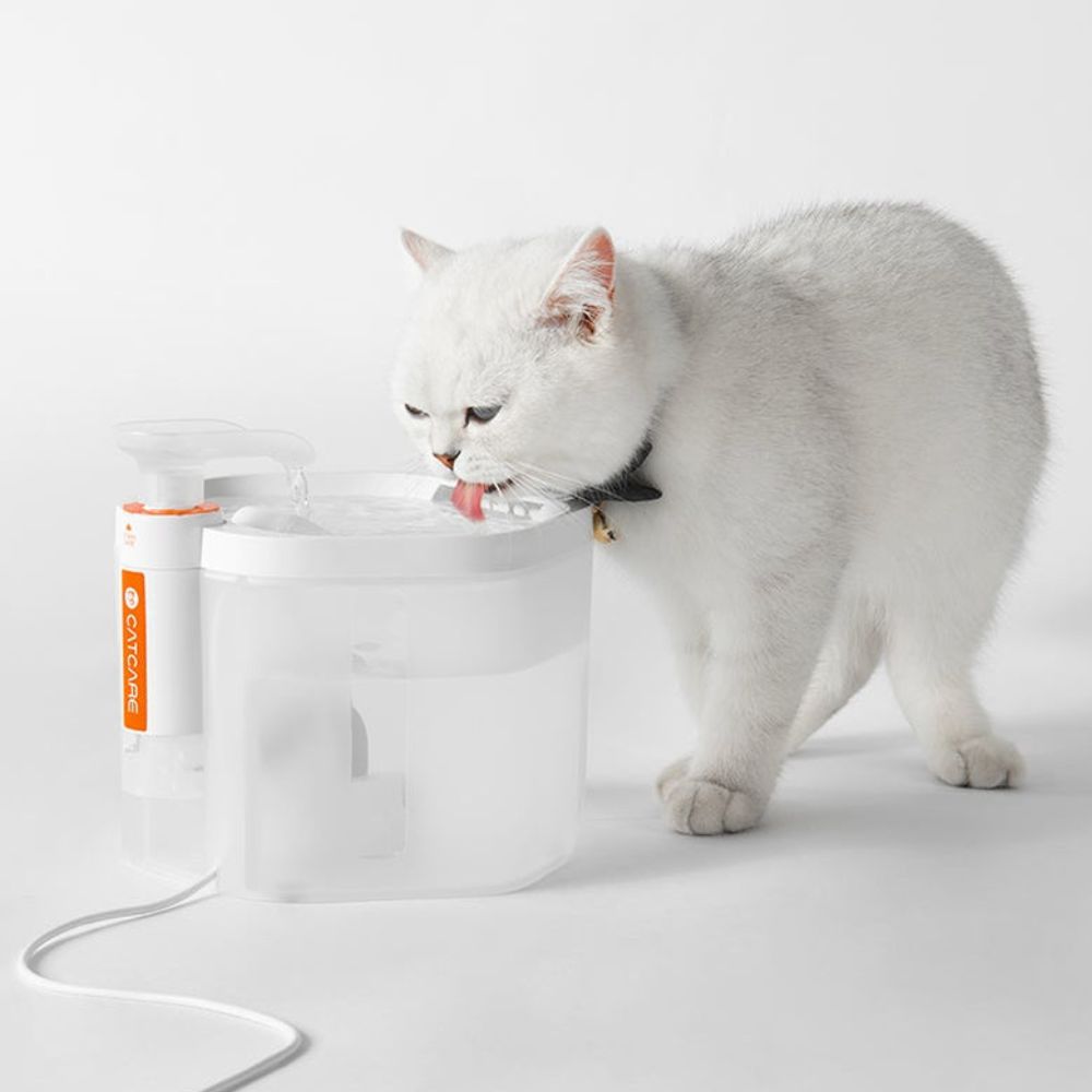 PetStream – Ultra-sauberer Trinkbrunnen für Haustiere