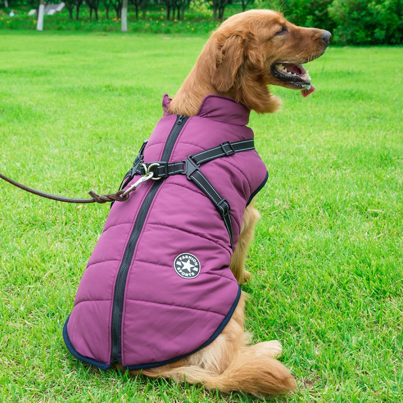 PupCoat – Wasserdichte Winterjacken für Hunde