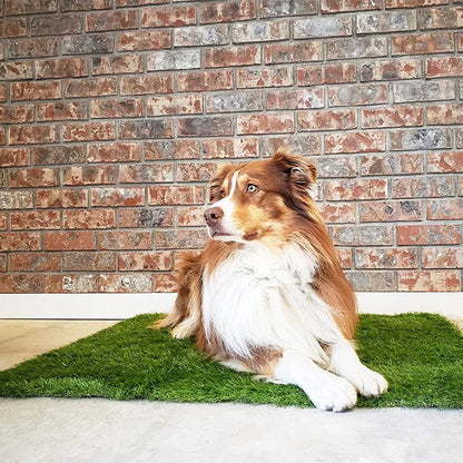 PottyTurf – Realistische Gras-Pipi-Pads